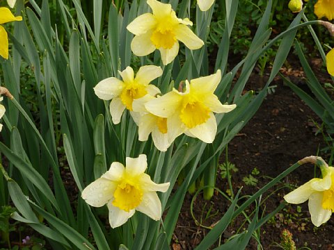 BG-20110416-p1030311.jpg