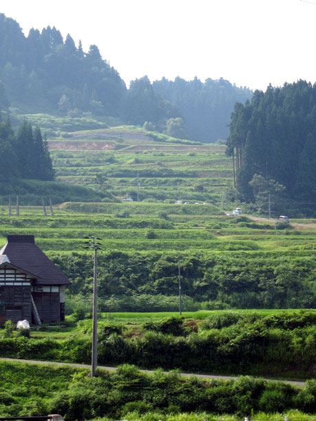 美人林 新潟県十日町市松之山松口 その10