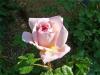 Abraham Darby0606-1