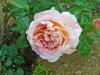 Abraham Darby0606-2