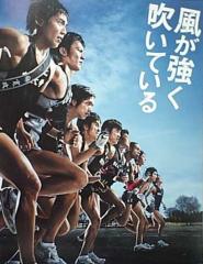 カゼガツヨクフイテイル