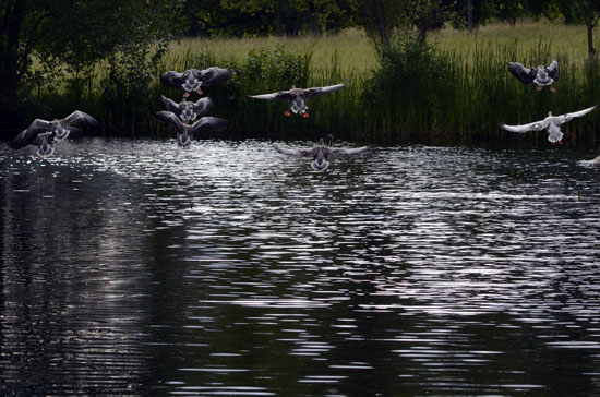 landing2 blog _DSC5608