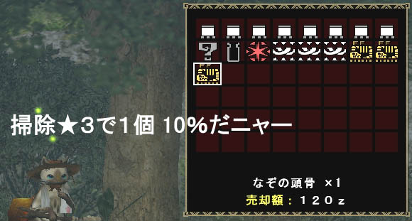 なぞの頭骨 1