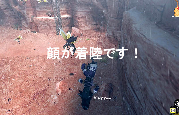 白妹の奮闘記録10