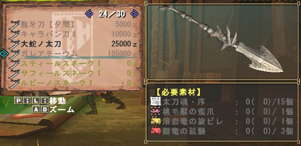 100629 ガレア?
