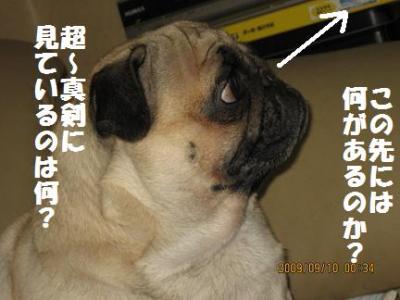 文太
