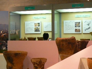1213-12.jpg