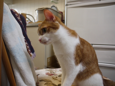 見つめて・・・