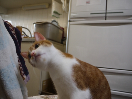 首を傾げて