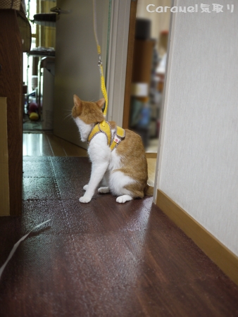 ぽつーん