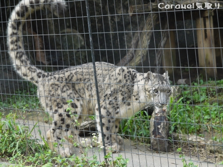 マーキング直前(笑)