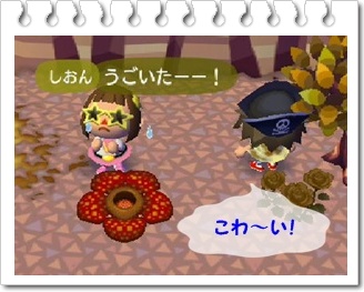 ラフレシア