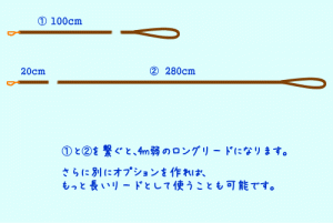 リードオプション