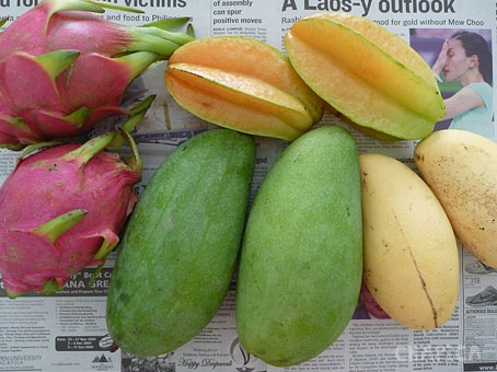 star fruit 1