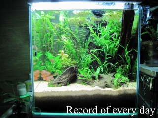 IMG_0034resizeresize.jpg