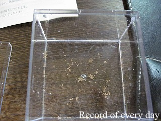 IMG_0065resizeresize.jpg