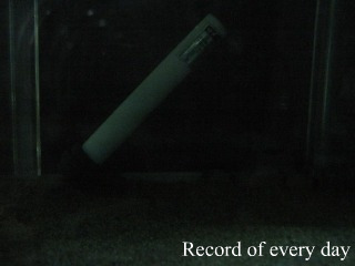 IMG_0095resizeresize.jpg