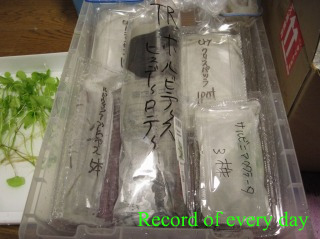 IMG_0141resizeresize.jpg