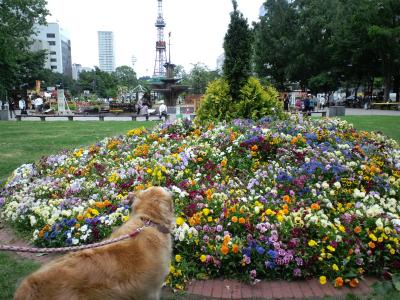 花の大通公園
