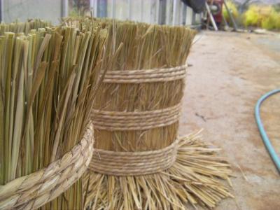 SANY0282.jpg
