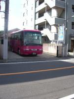 IMGP2676.jpg