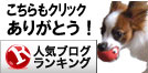 人気ブログランキングへ