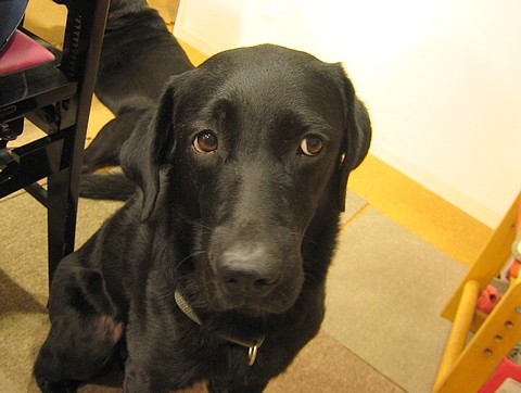 20100818mogu-thalia1.jpg