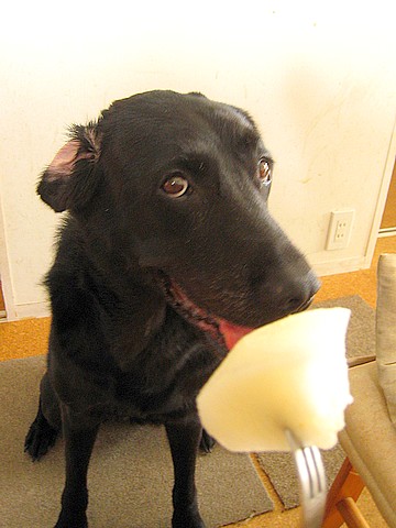20100903pear-clara1.jpg