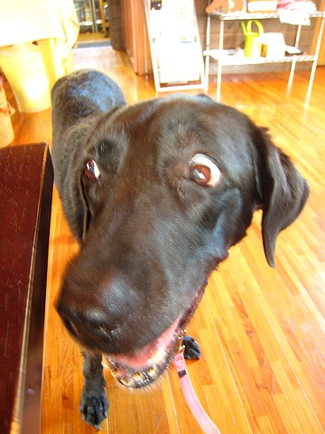 20100917fu-clara1.jpg
