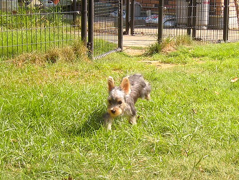 20100917fu4.jpg