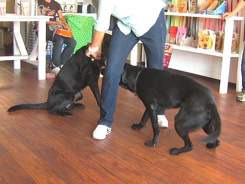 20101006lesson-clarathalia2.jpg