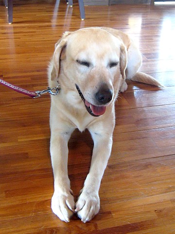 20101027fu-maruko2.jpg