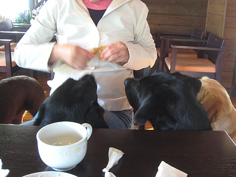 20101027fu3.jpg