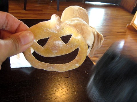 20101027fu6.jpg
