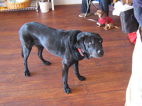 20101103lesson-clara2.jpg