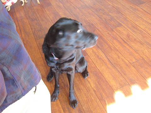 20101103lesson-clara4.jpg