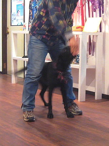 20101103lesson-thalia3.jpg