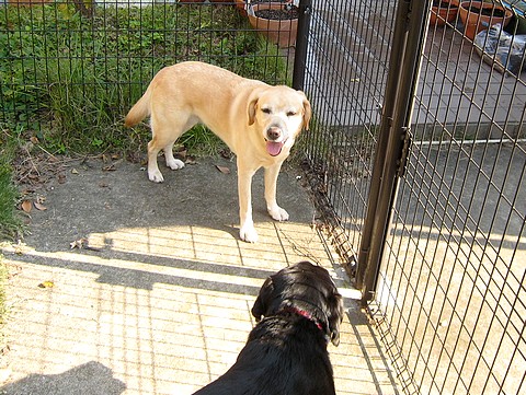 20101105fu1.jpg