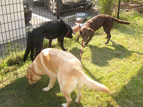 20101105fu3.jpg