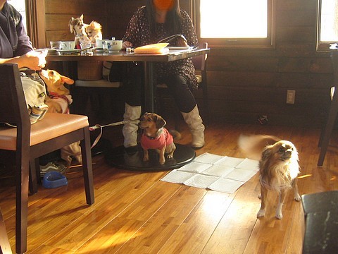 20101105fu5.jpg