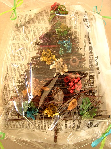 20101117sue-tree1.jpg