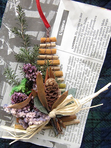 20101117sue-tree3.jpg