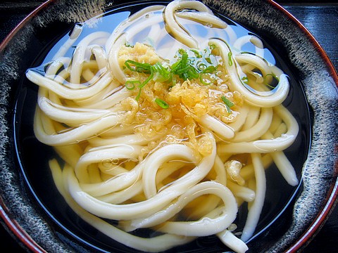 20101126udon-don2.jpg
