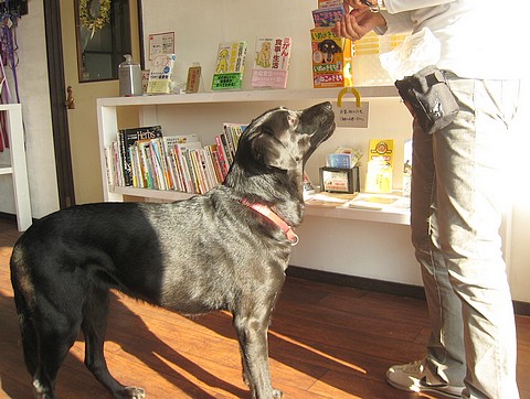 20101201traning-clara2.jpg