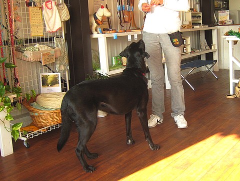 20101201traning-clara3.jpg