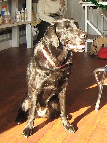 20101201traning-clara4.jpg