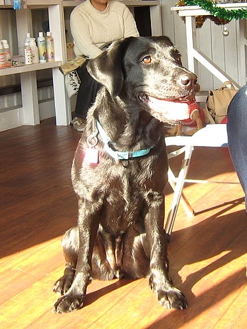 20101201traning-thalia5.jpg