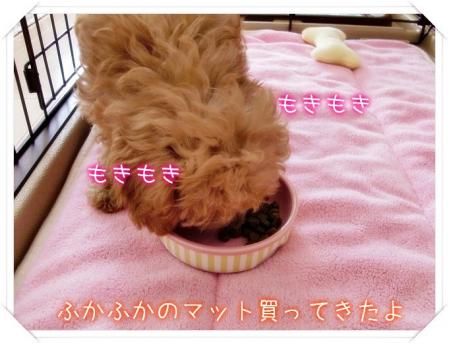 どぉ?