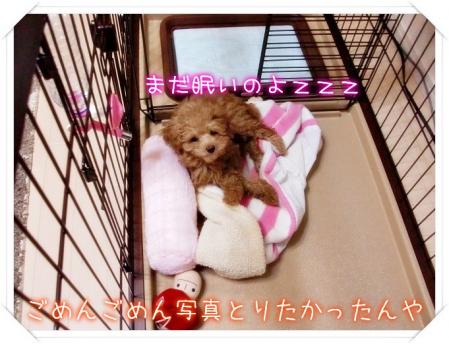 結局コレ