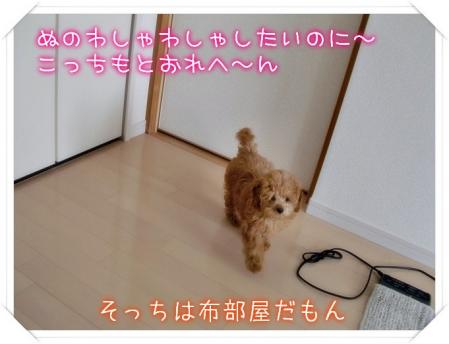 こっちもかいな